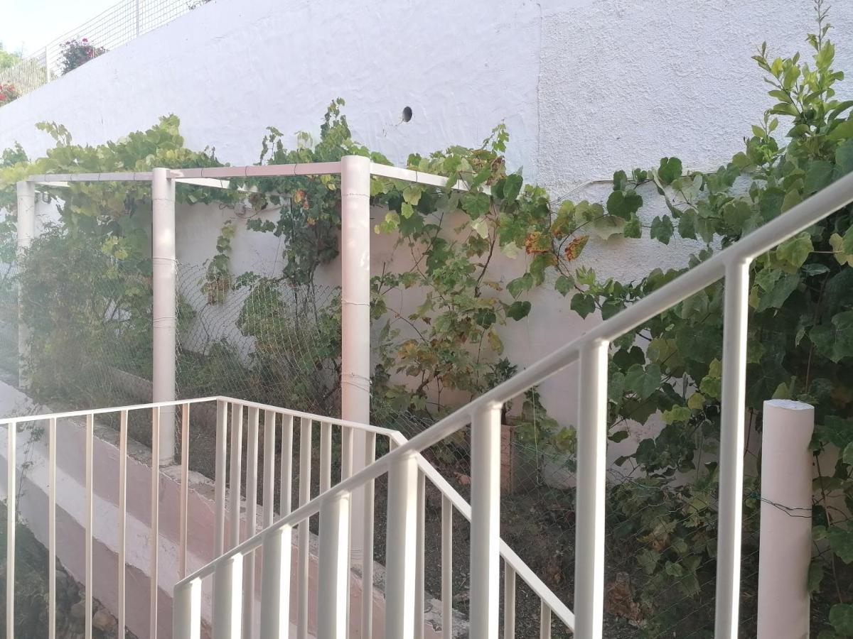 Apartamento Lemmon Tree سانتا بريخيذا المظهر الخارجي الصورة