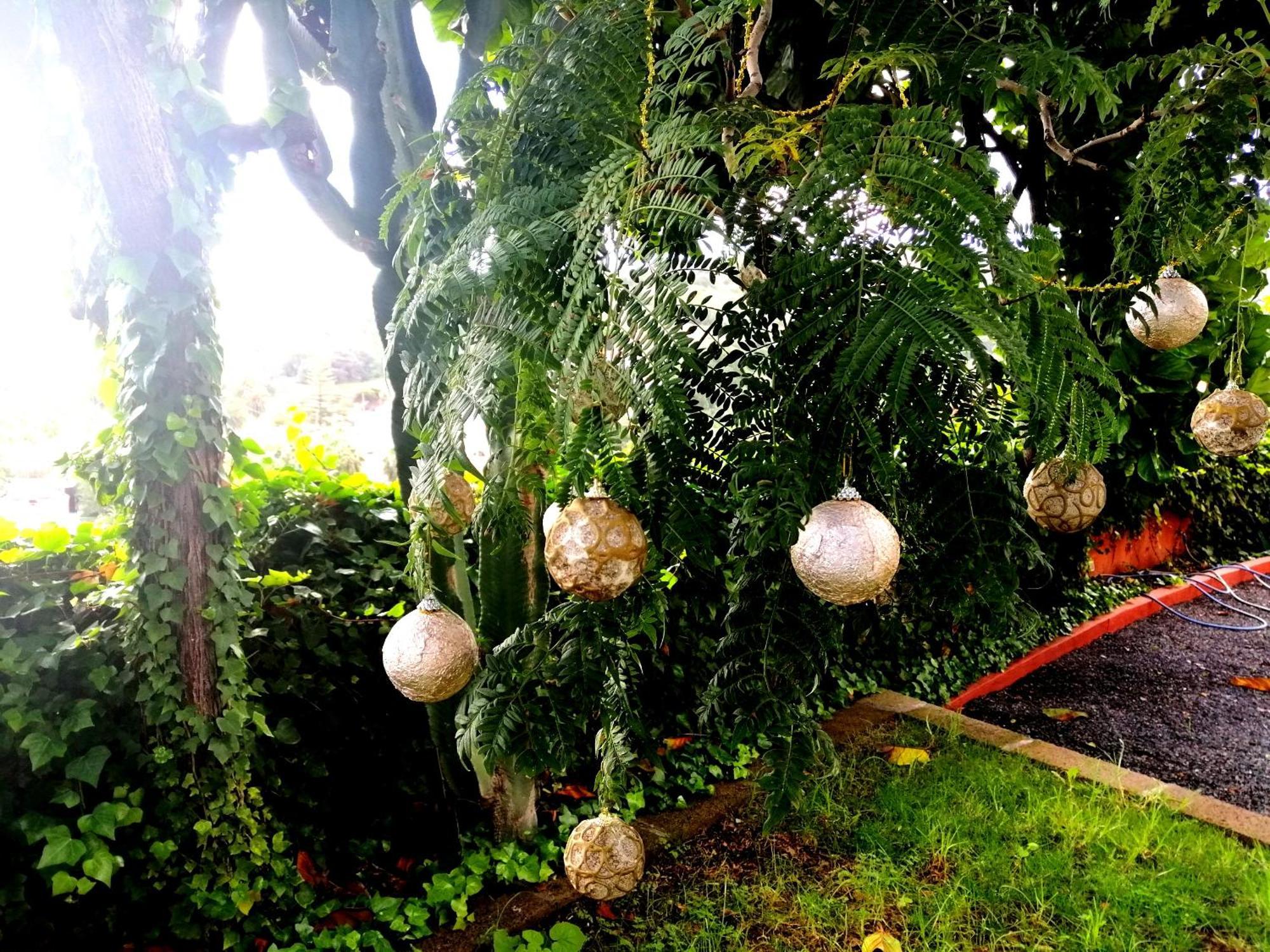 Apartamento Lemmon Tree سانتا بريخيذا الغرفة الصورة