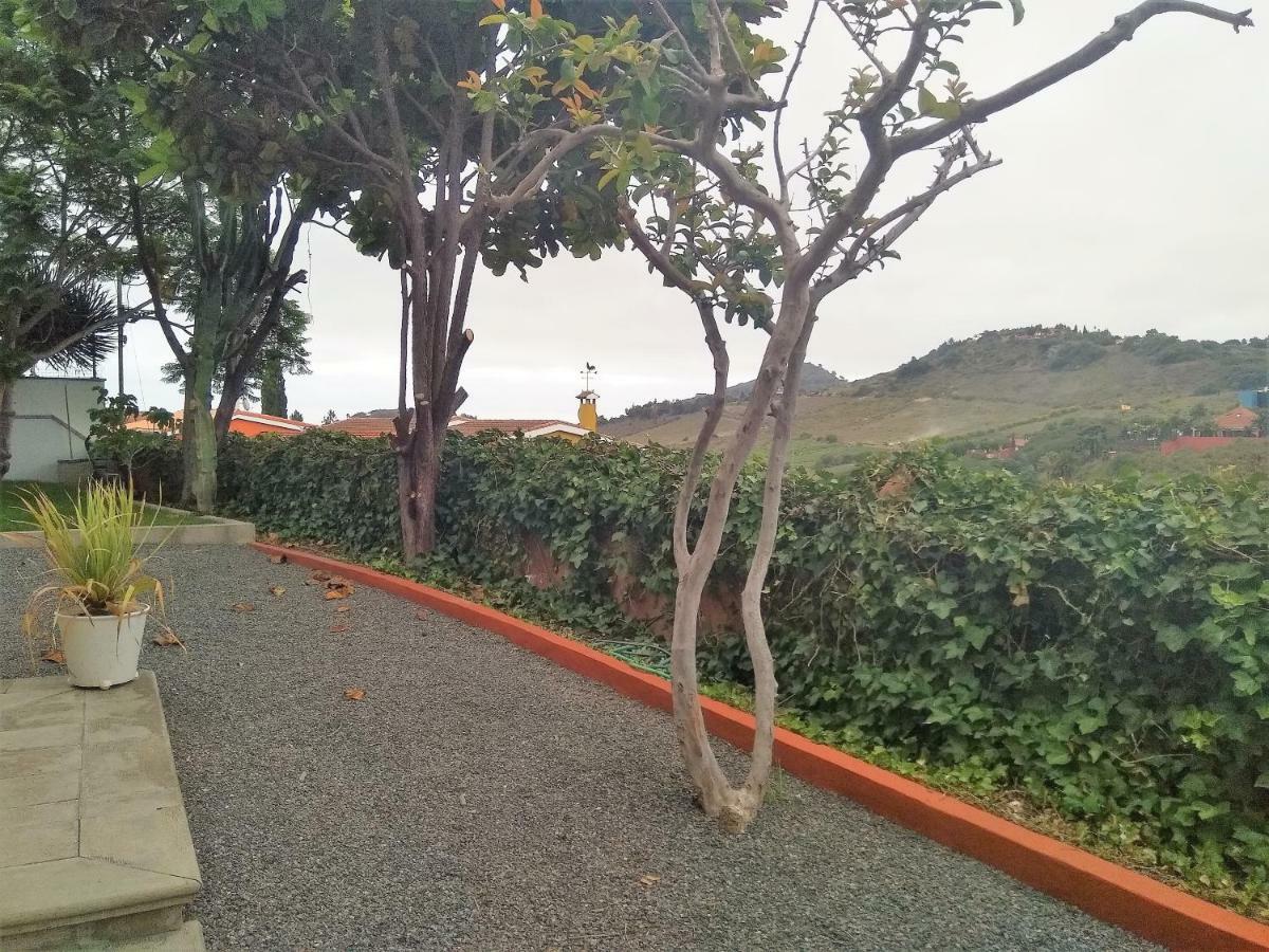 Apartamento Lemmon Tree سانتا بريخيذا المظهر الخارجي الصورة